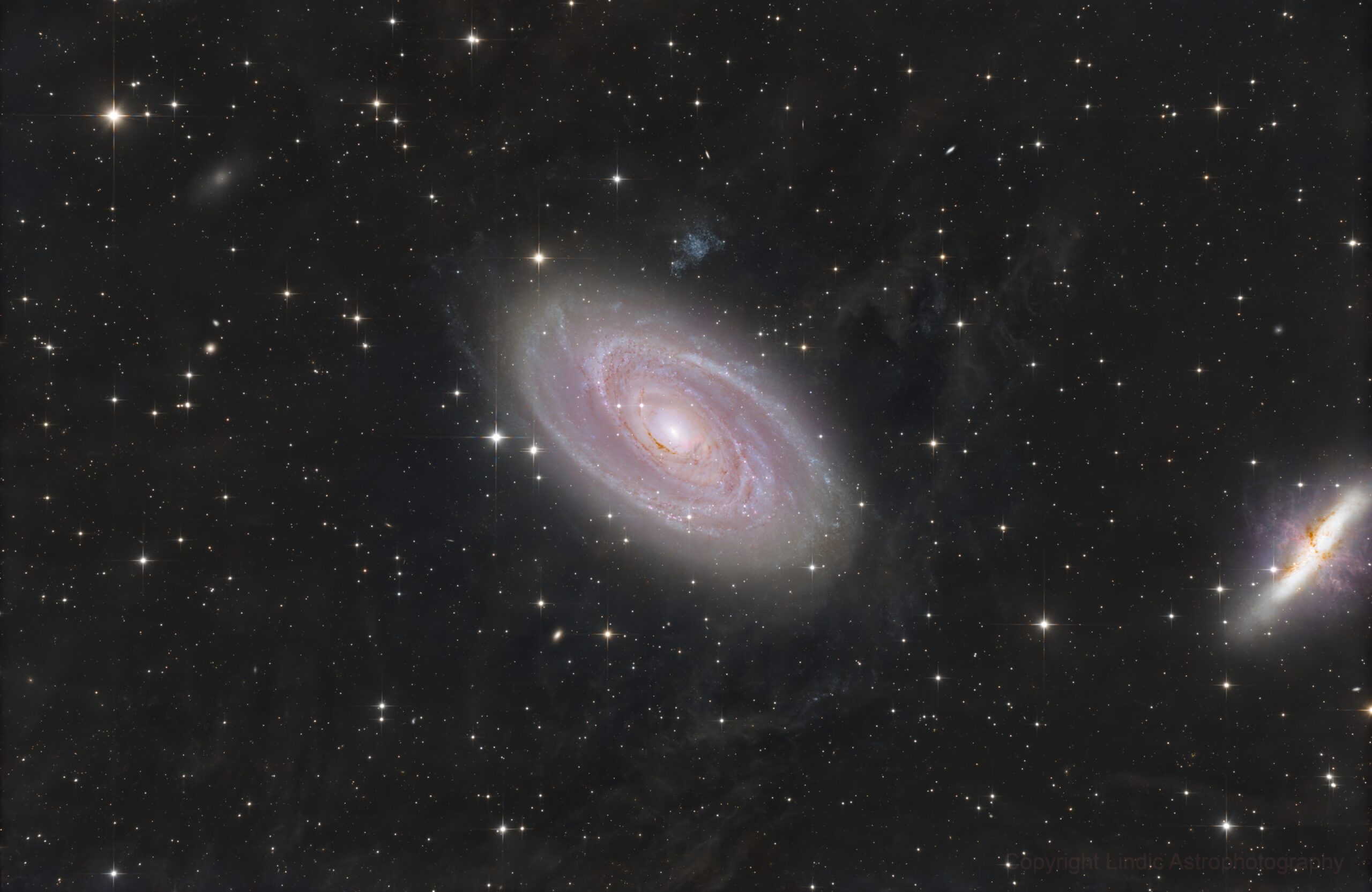 M81
